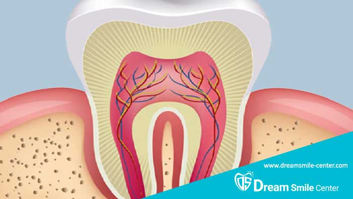 تفاوت عصب کشی دندان شیری و دائمی