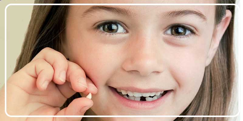 زمان افتادن دندان اسیاب در کودکان | دکترفرشیده میرلوحی دندانپزشک کودکان